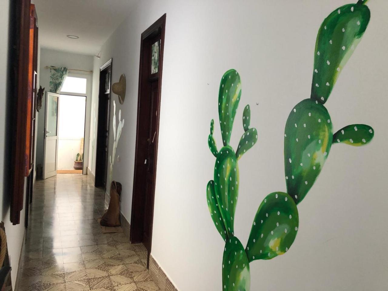 Cactus Host Hostel Las Palmas de Gran Canaria Ngoại thất bức ảnh
